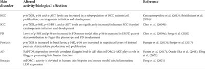 The regulation of skin homeostasis, repair and the pathogenesis of skin diseases by spatiotemporal activation of epidermal mTOR signaling